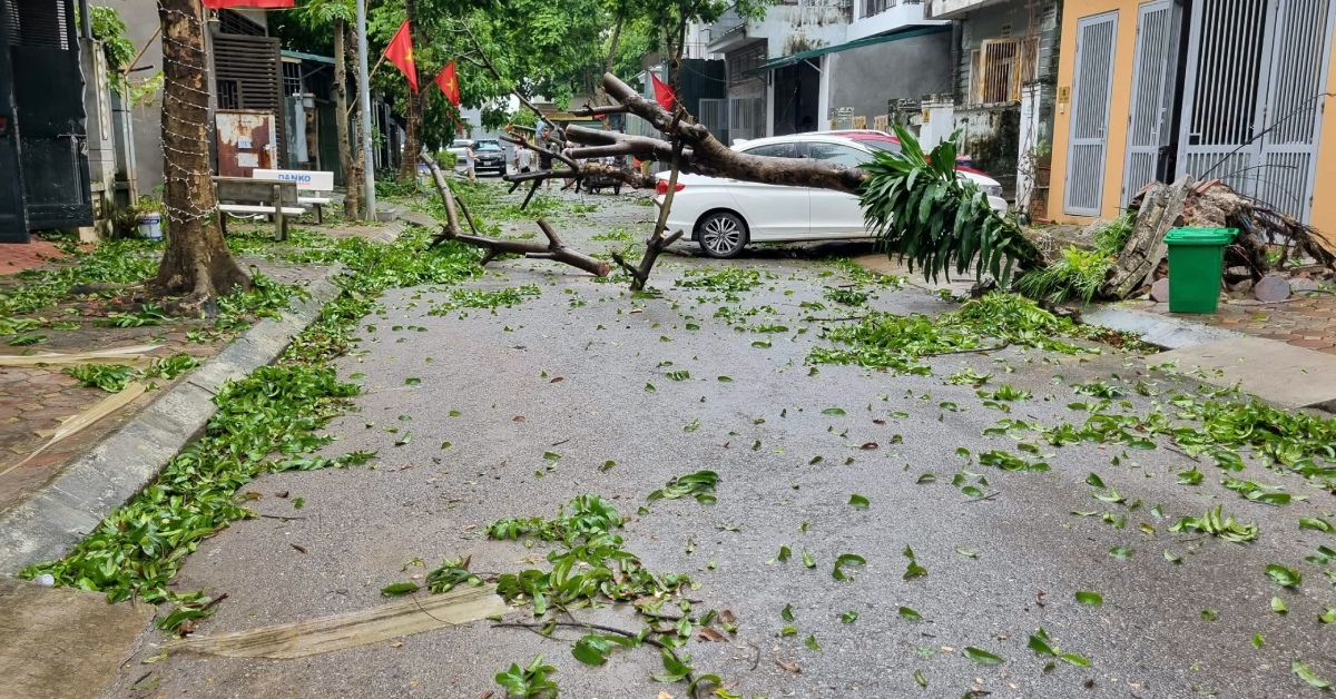 Sáng nay, người dân Hà Nội tất bật dọn dẹp sau bão khủng khiếp