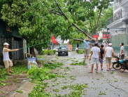 Sáng nay, người dân Hà Nội tất bật dọn dẹp sau bão khủng khiếp