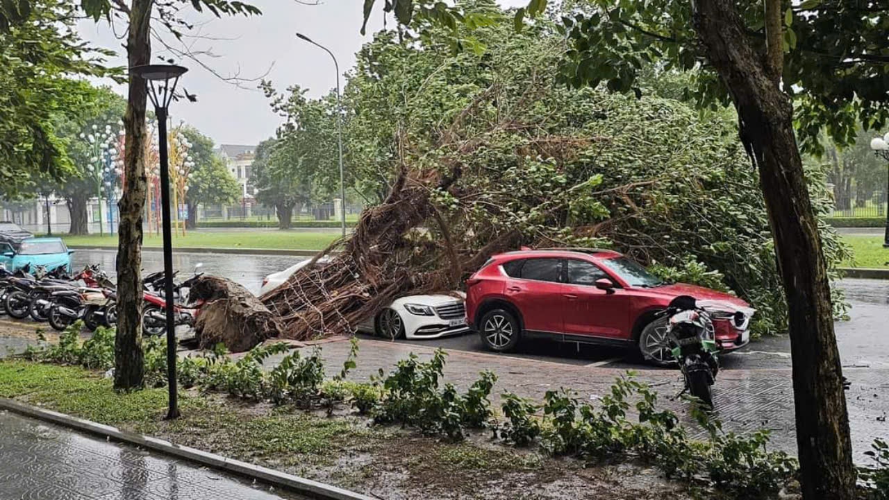 Bão Yagi quét Hà Nội: 'Lần đầu tiên thấy bão kinh hoàng như thế này' - 7