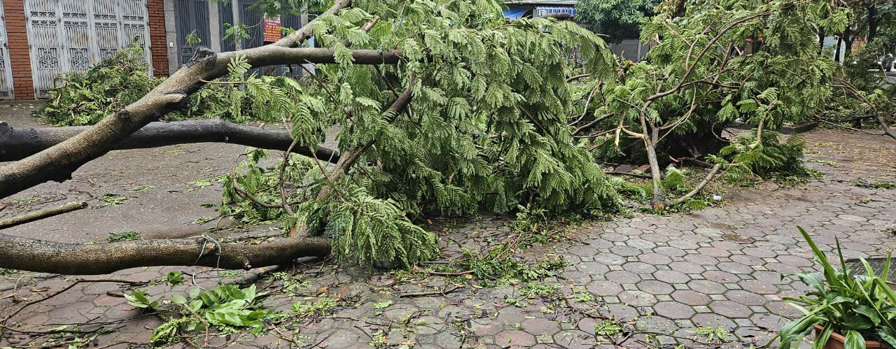 Sáng nay, người dân Hà Nội tất bật dọn dẹp sau bão khủng khiếp - 3