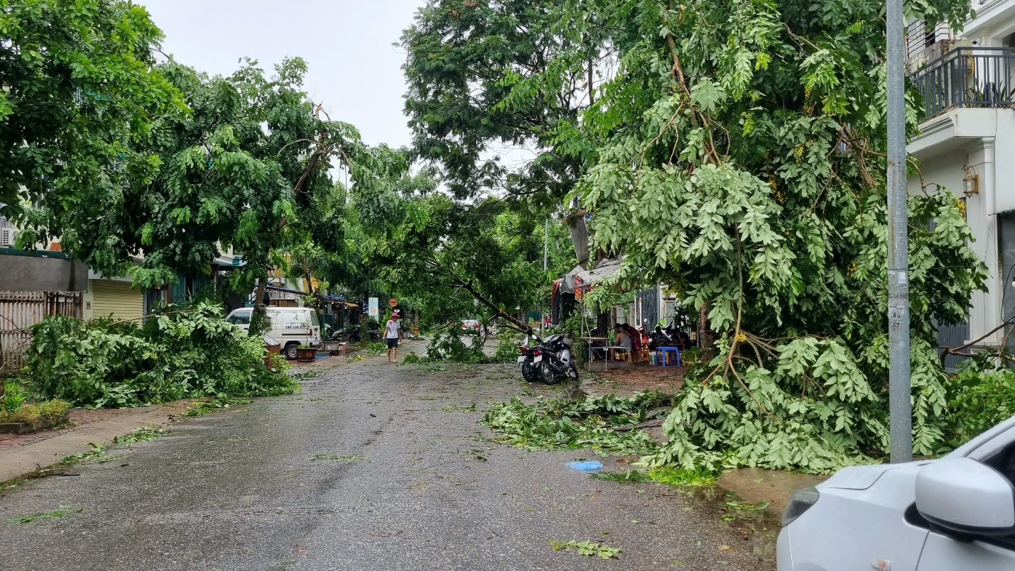 Sáng nay, người dân Hà Nội tất bật dọn dẹp sau bão khủng khiếp - 1