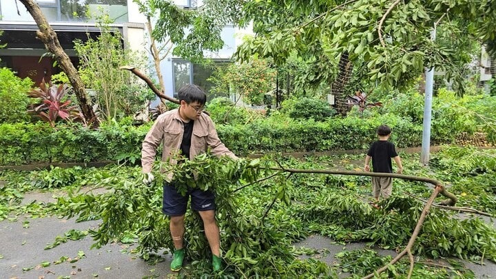 Xuân Bắc cùng con hỗ trợ dọn cây đổ sau bão, Phương Lê góp 500 triệu đồng hỗ trợ vùng bị thiên tai - 3