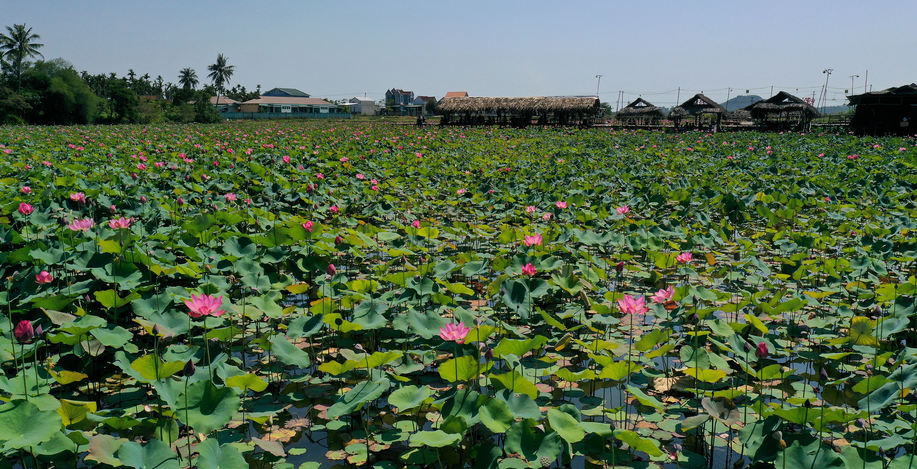 Người dân Nghĩa Hành làm giàu nhờ du lịch cộng đồng - 6