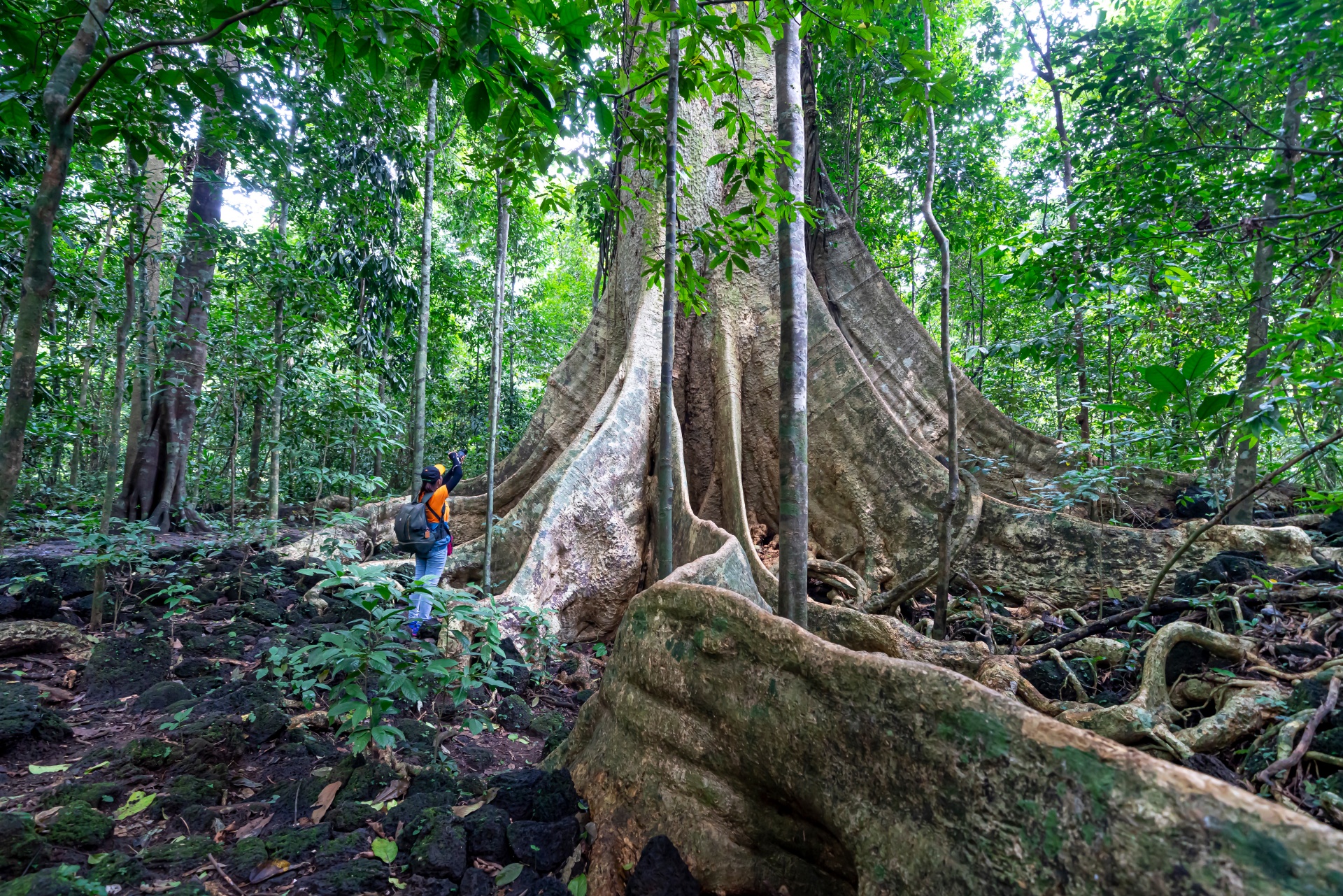 Vẽ những hành trình xanh - 7