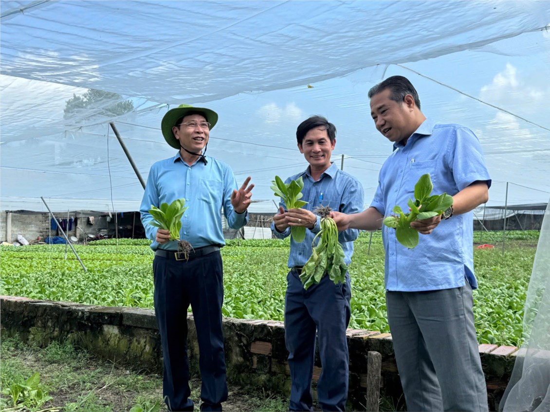 Nông dân thế hệ mới: Gương sáng sản xuất, kinh doanh giỏi tại huyện Hóc Môn - 2