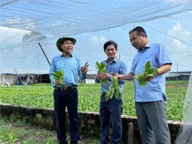 Nông dân thế hệ mới: Gương sáng sản xuất, kinh doanh giỏi tại huyện Hóc Môn