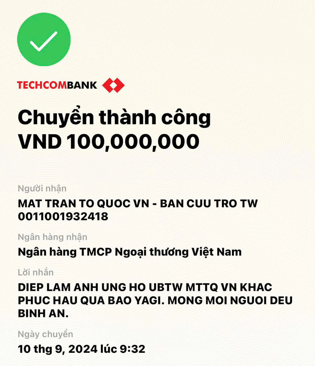 Diệp Lâm Anh tới vùng lũ cứu trợ, thêm nhiều nghệ sĩ chung tay quyên góp - 4