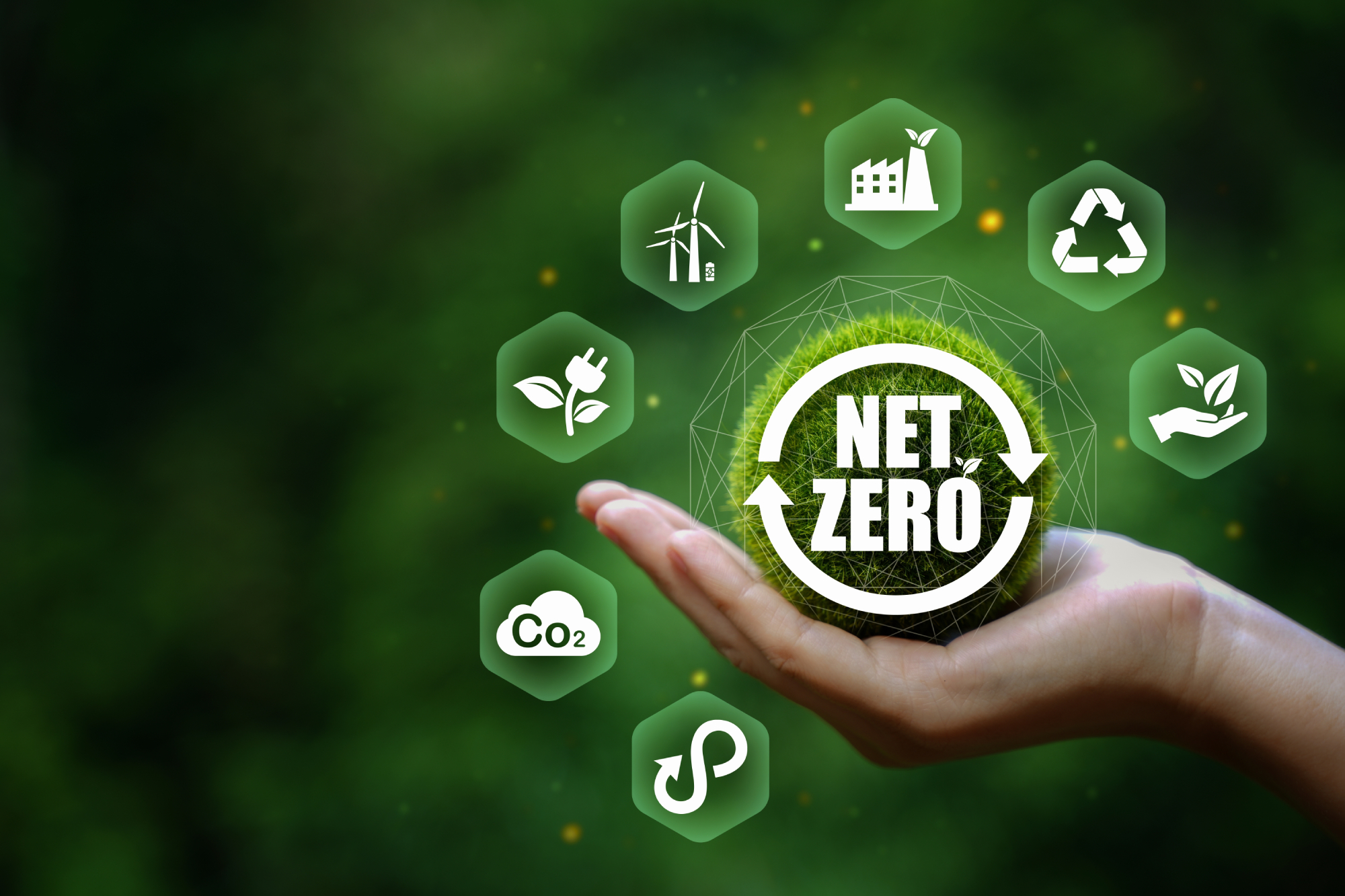 du lich net zero, thach thuc khong nho doi voi the gioi - 3