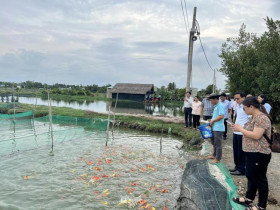  - Hóc Môn triển khai đồng bộ các chính sách hỗ trợ nông dân phát triển sản xuất