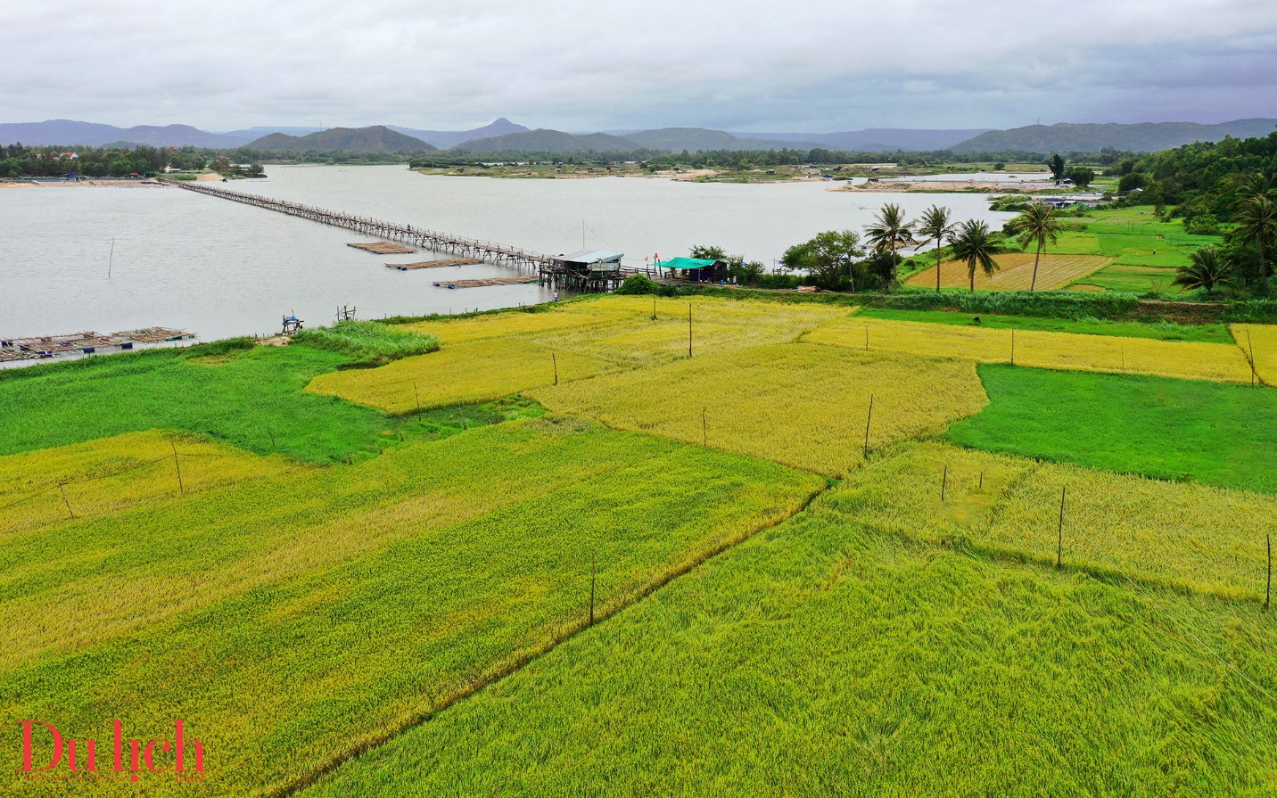 phu yen uu tien phat trien du lich ket hop voi nghi duong, sinh thai - 2