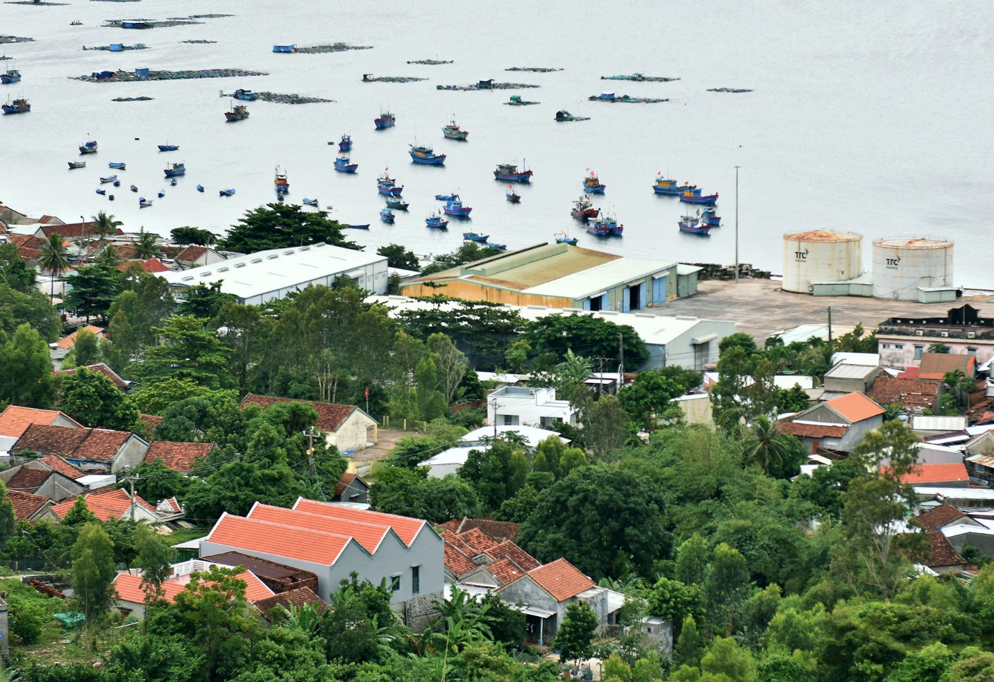 phu yen uu tien phat trien du lich ket hop voi nghi duong, sinh thai - 7