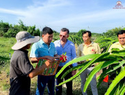 Giám đốc công ty xuất khẩu nông sản: Sự phát triển của TMĐT giúp nông sản Việt ngày càng được ưu tiên hơn