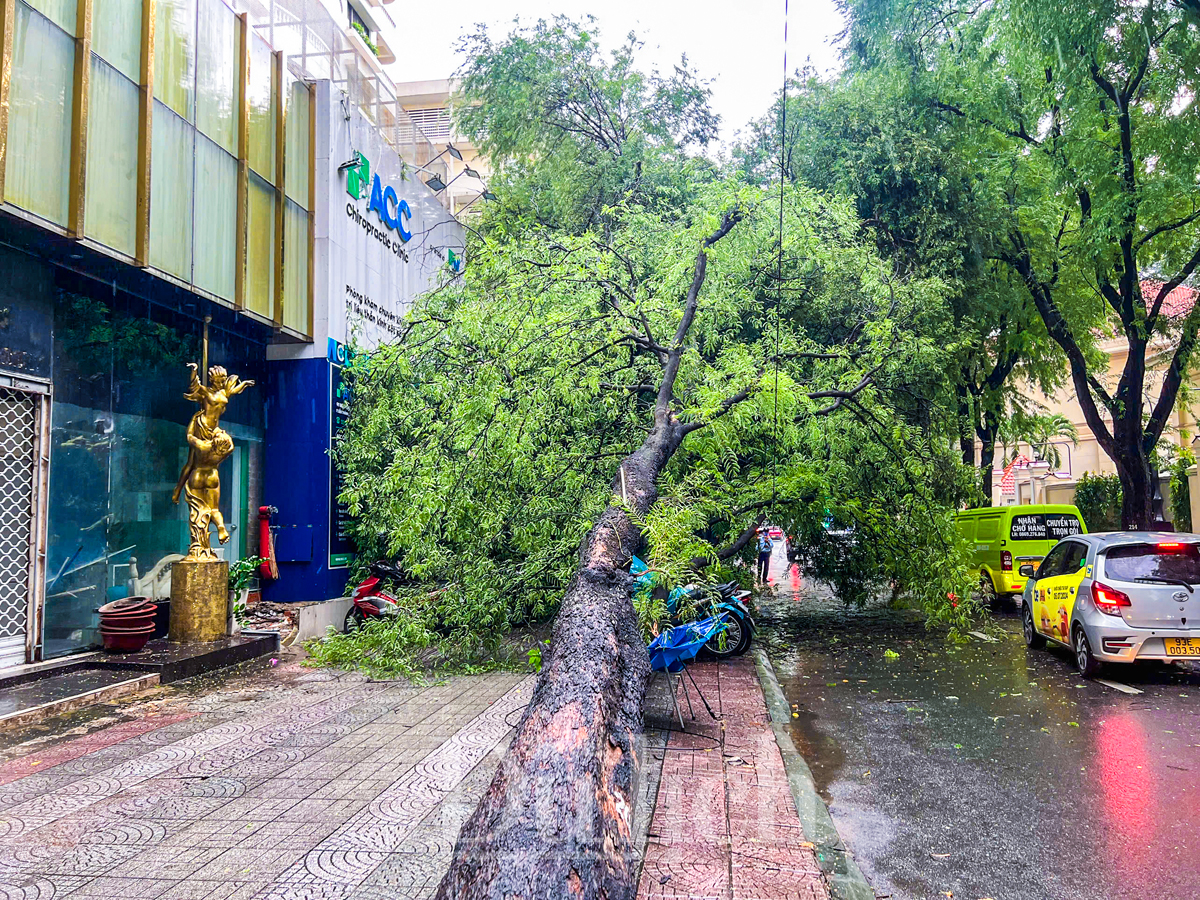 Mưa giông gió lốc khiến cây xanh bật gốc và ngập nặng nhiều tuyến đường - 4