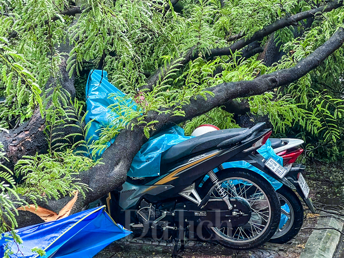 Mưa giông gió lốc khiến cây xanh bật gốc và ngập nặng nhiều tuyến đường - 6