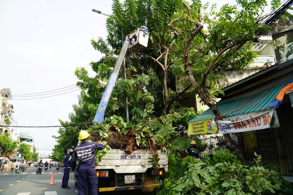 TP.HCM sẵn sàng ứng phó mưa lớn kết hợp triều cường - 3