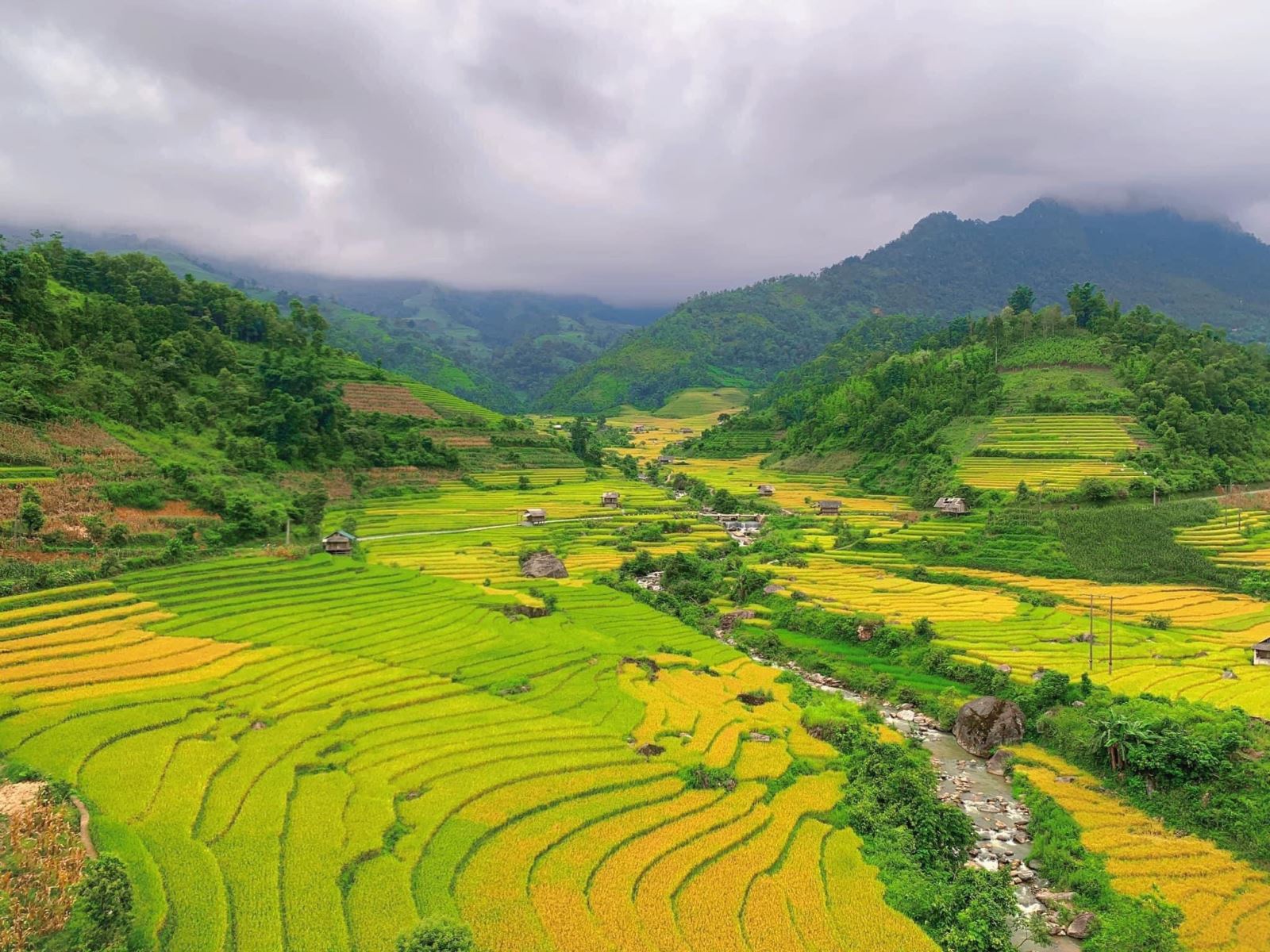 Tour du lịch mới ở Lào Cai: Ngắm lúa chín vàng trên ruộng bậc thang kết hợp làm thiện nguyện - 1