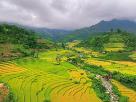  - Tour du lịch mới ở Lào Cai: Ngắm lúa chín vàng trên ruộng bậc thang kết hợp làm thiện nguyện