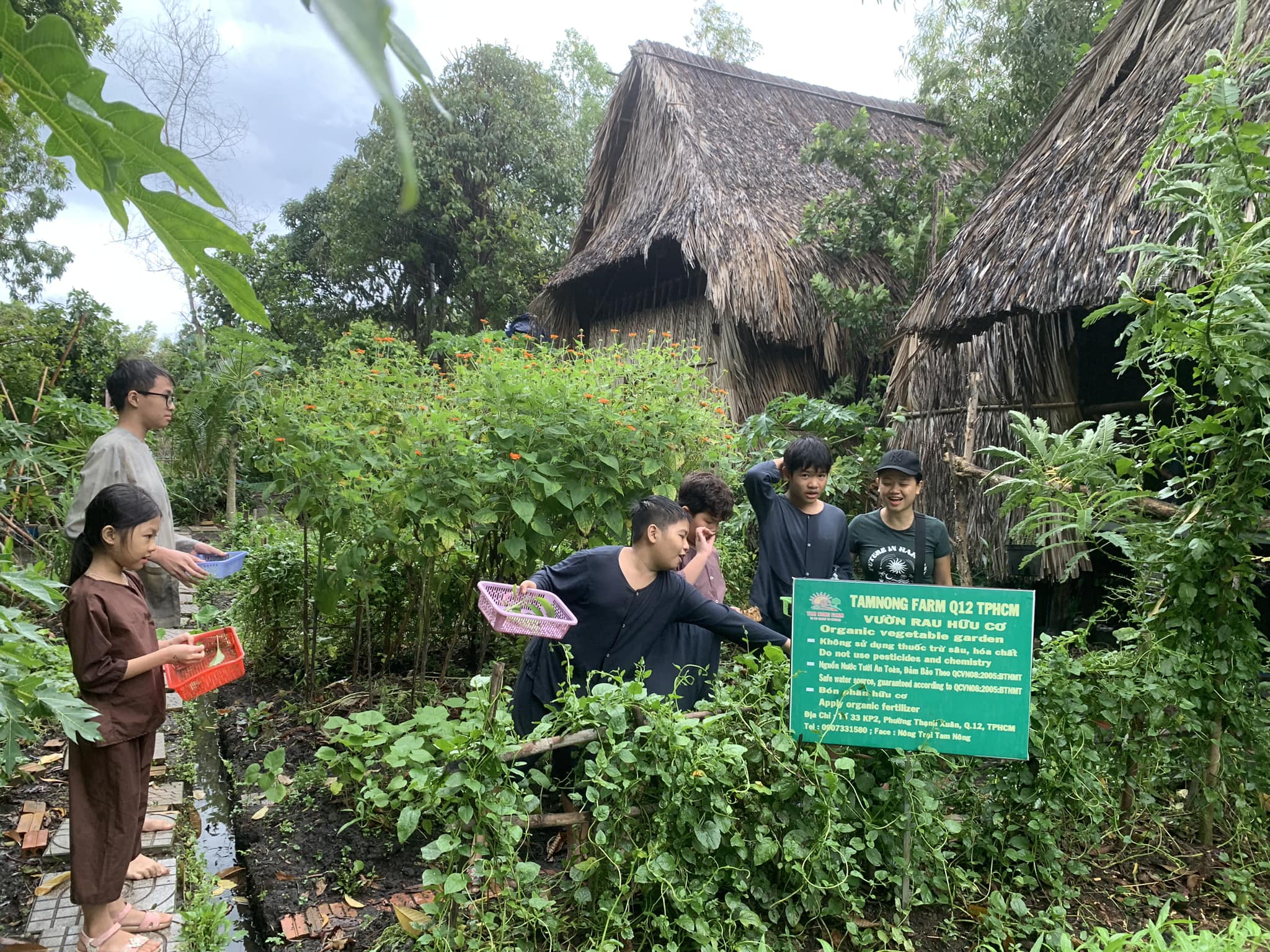 Bước chuyển quan trọng cho du lịch nông nghiệp từ Luật Đất Đai 2024 - 1