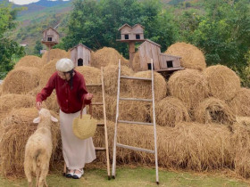  - Đến Mộc Châu, trải nghiệm cùng người dân đào măng, đi hái dâu tại vườn