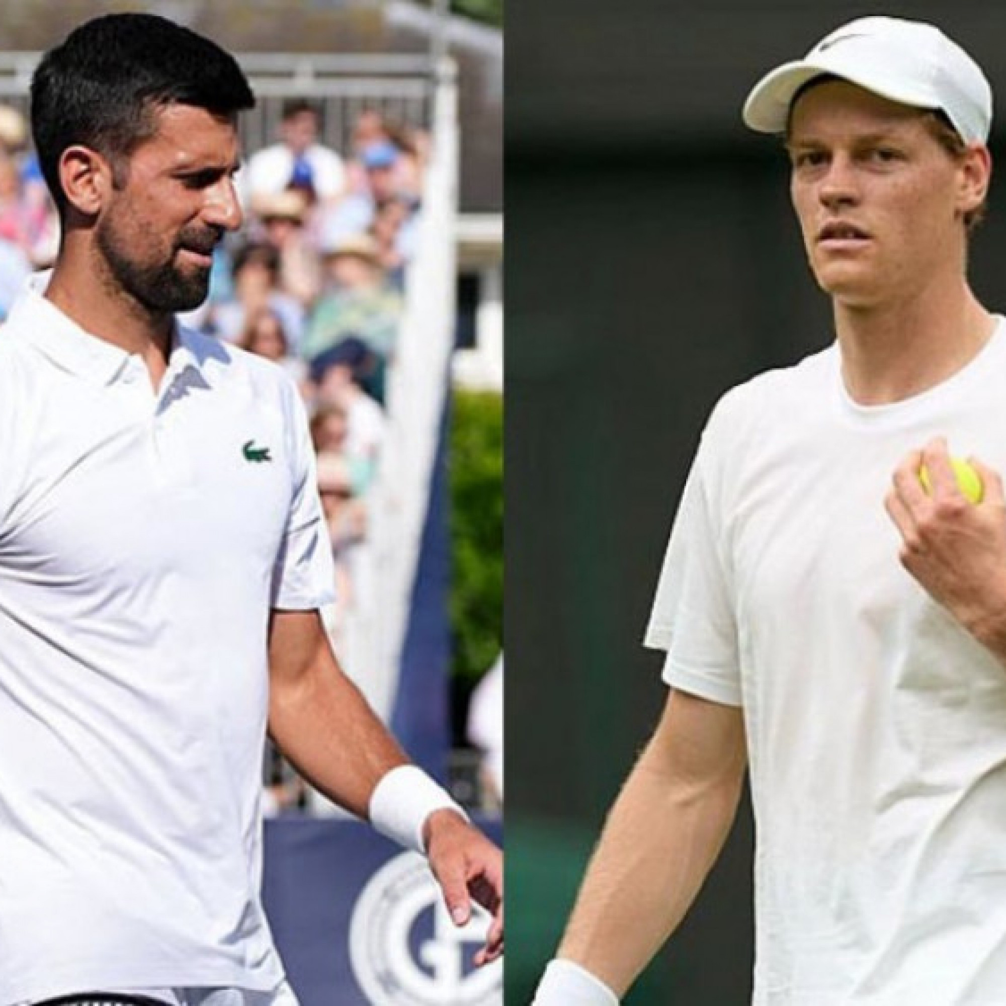  - Trực tiếp tennis Wimbledon ngày 2: Djokovic không lo ngại Muller, Sinner đấu đồng hương