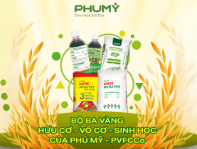  - Bộ ba vàng vô cơ – hữu cơ – sinh học của Phú Mỹ - PVFCCo