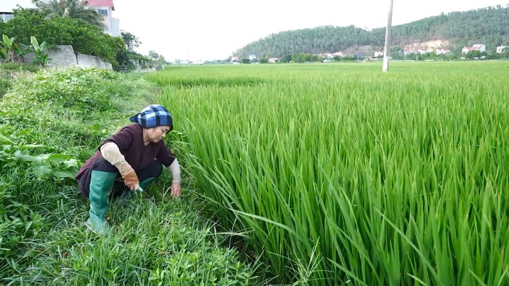 Dương Hồng Phúc, Bảo Trâm Idol nghẹn ngào trước người mẹ nghị lực, vừa chạy thận vừa nuôi 2 con mồ côi - 5