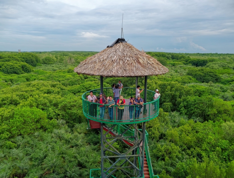 Cần Giờ - 'Cánh chim xanh' trên bản đồ thành phố