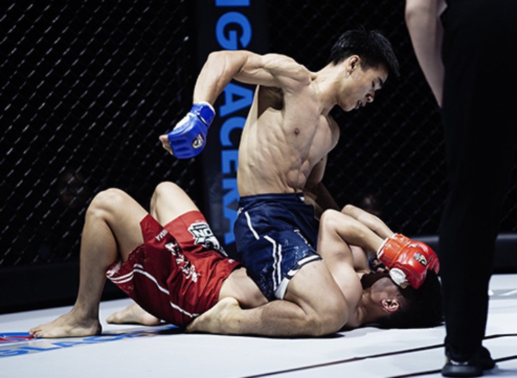 Chấn động kèo 1 đấu 20 ở MMA Việt Nam: Trần Ngọc Lượng kêu "bị đánh đau quá" - 2