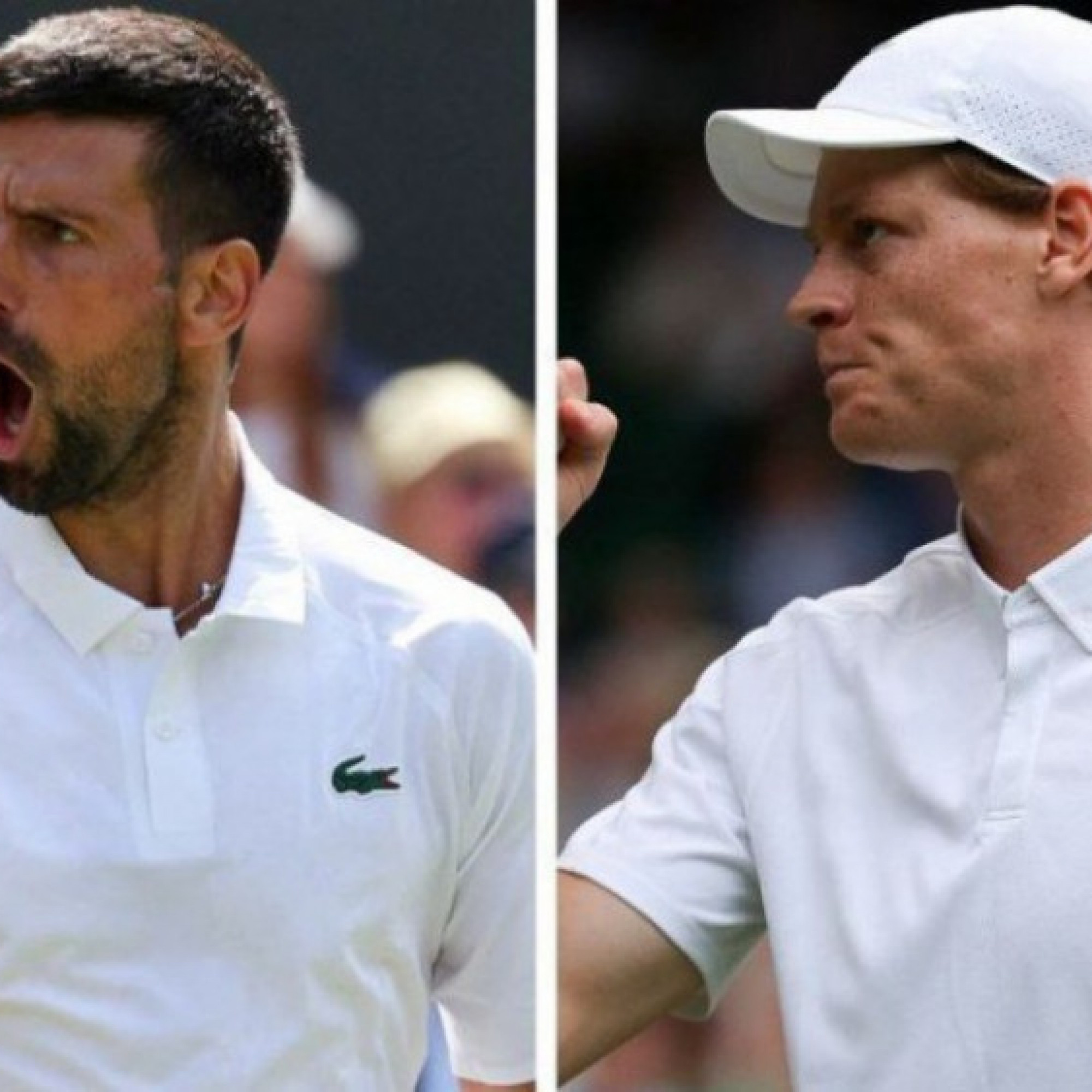  - Trực tiếp tennis Wimbledon ngày 8: Djokovic nhắm 101 trận thắng, Sinner đấu "Tiểu Federer"
