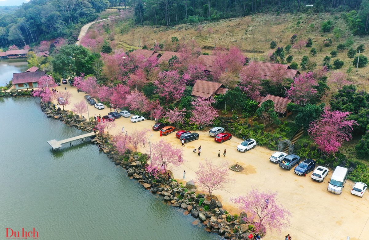 toa dam ket noi, hop tac phat trien ben vung du lich quang ngai - 12