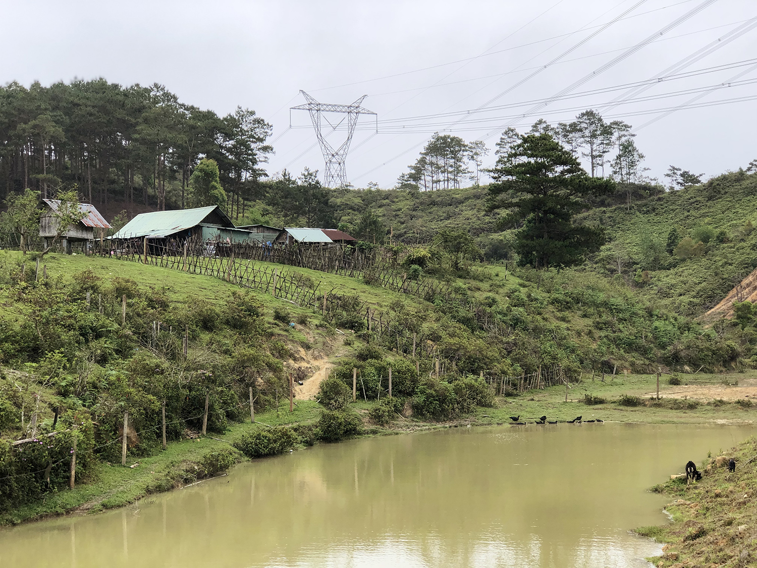 Ghé thăm làng Kon Leang, thưởng lãm nét đẹp bình dị của đại ngàn - 4