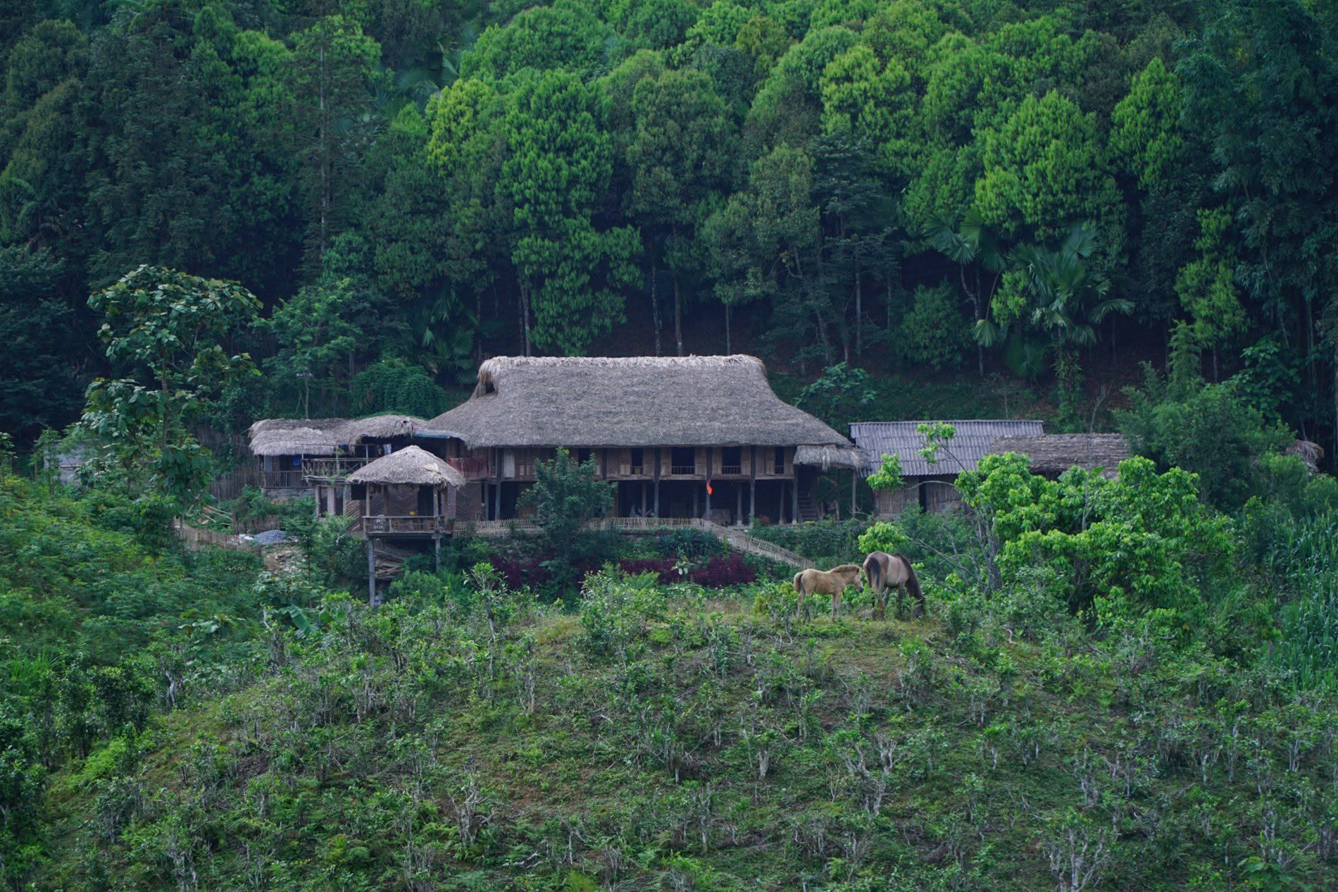 Homestay - Xu hướng lưu trú được yêu thích: Tại sao lại hấp dẫn đến vậy? - 1