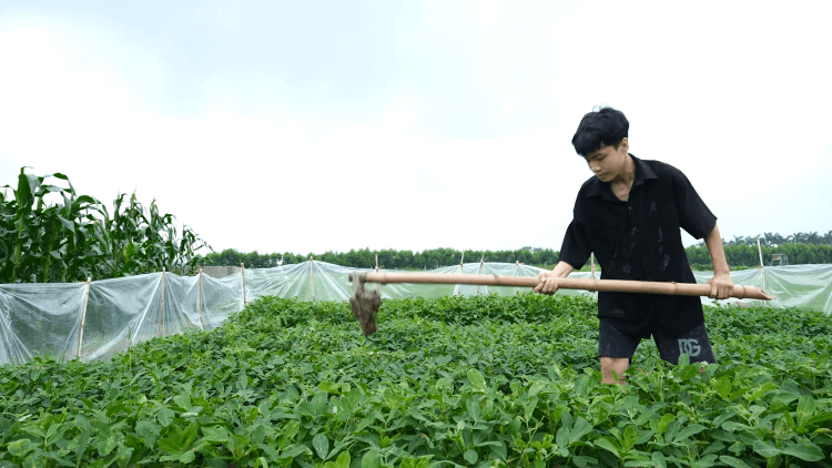 Ước mơ trở thành bác sĩ của những em nhỏ sớm thiếu thốn tình thân khiến nhiều người nghẹn lòng - 2