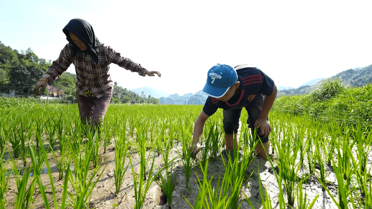 Ước mơ trở thành bác sĩ của những em nhỏ sớm thiếu thốn tình thân khiến nhiều người nghẹn lòng - 9
