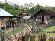 Ghé thăm làng Kon Leang, thưởng lãm nét đẹp bình dị của đại ngàn