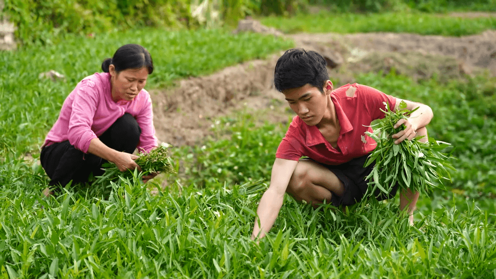 Thanh Thảo, Lương Thu Trang và Đỗ Hoàng Hiệp nghẹn lòng trước người mẹ đơn thân gồng gánh nuôi mẹ già 85 tuổi và con trai - 3