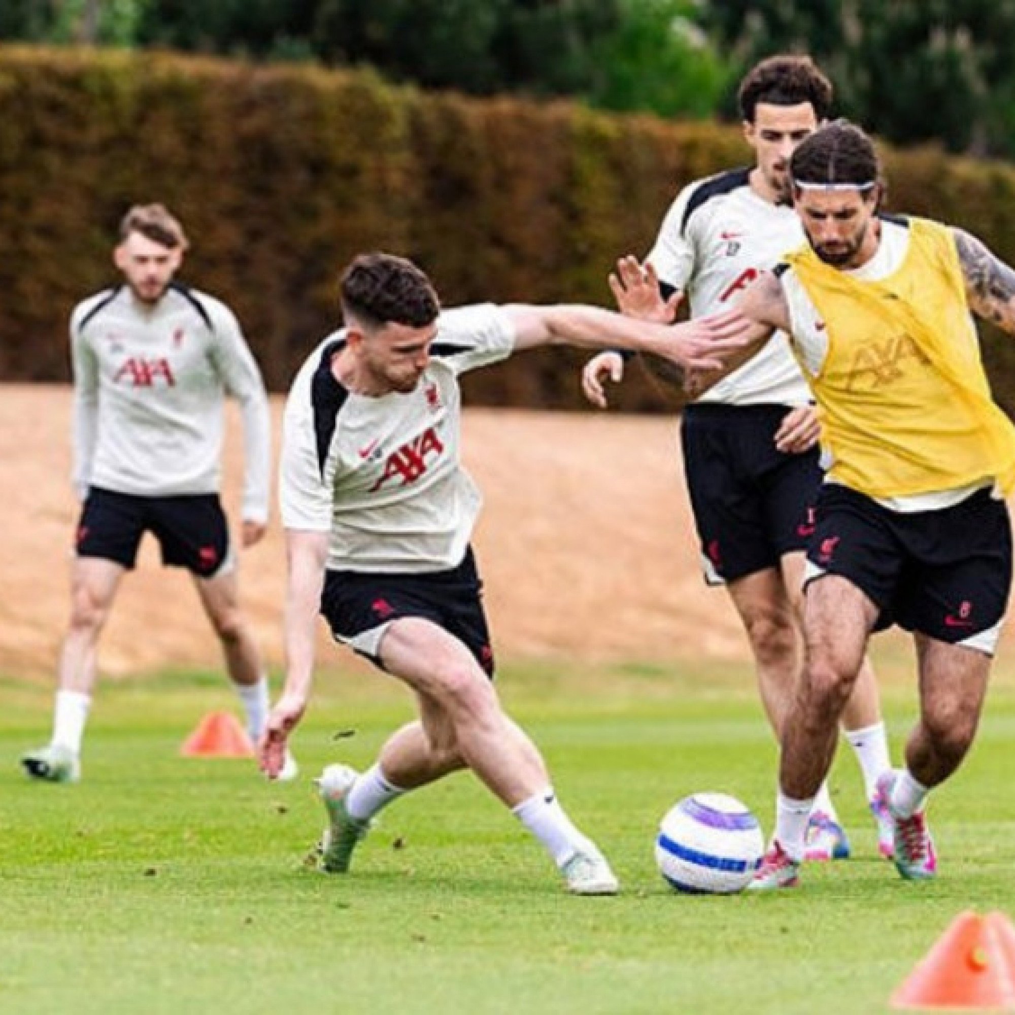  - Trực tiếp bóng đá Preston - Liverpool: Gạt nỗi đau mất Jota vì mục tiêu phía trước (Giao hữu)