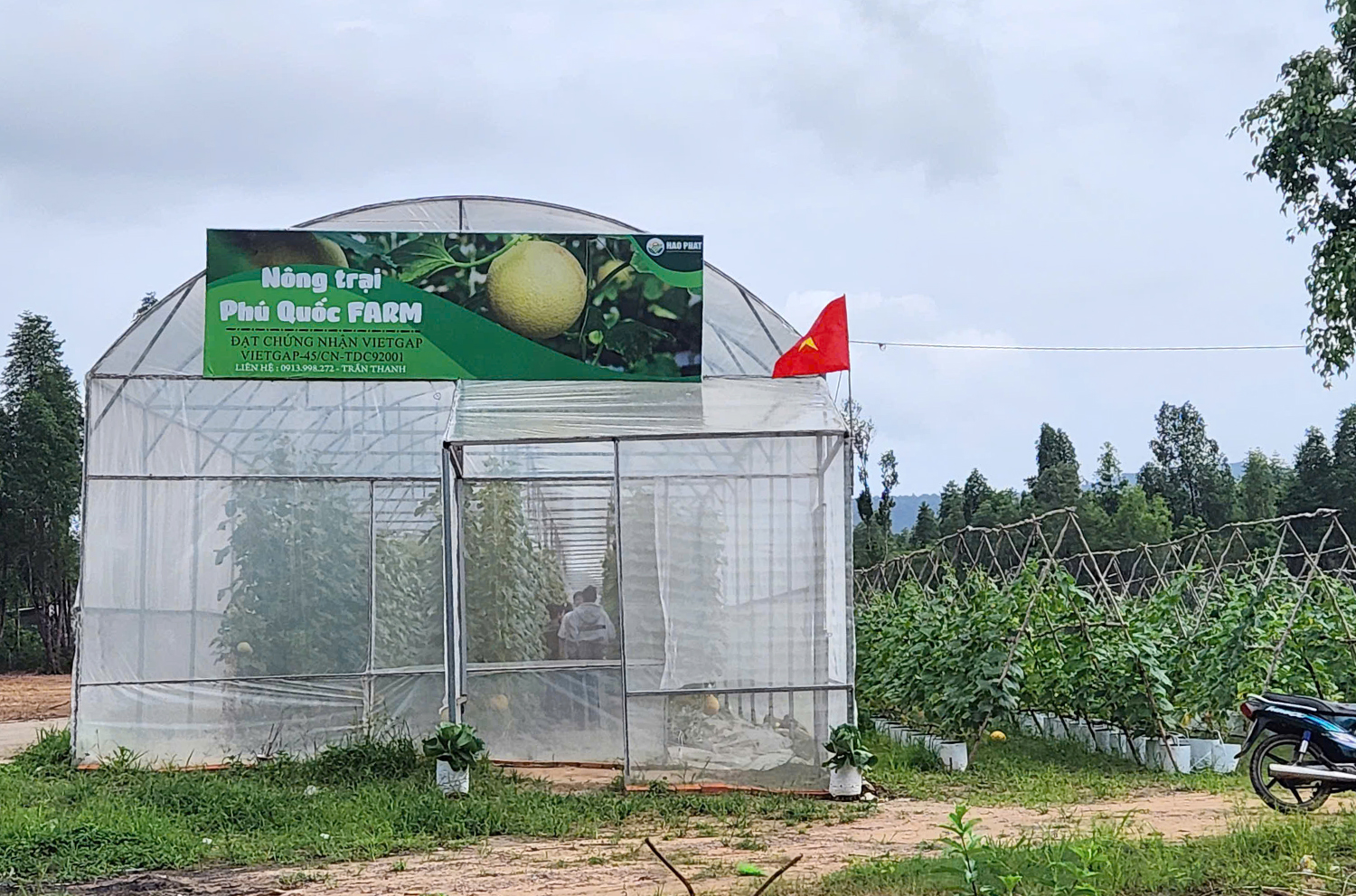 Đến Phú Quốc khám phá cung đường Dương Đông – Rạch Vẹm - 8