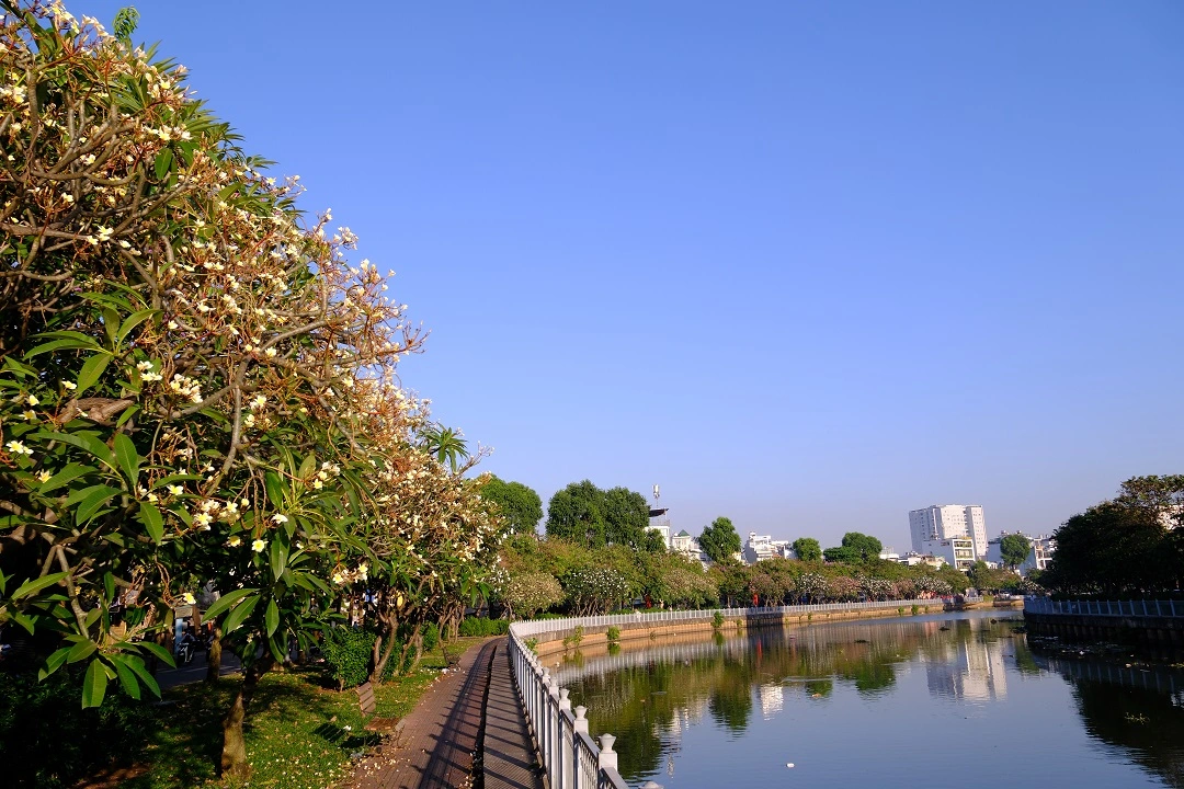phuong xuan hoa: ban sac xua trong dang hinh do thi moi - 1