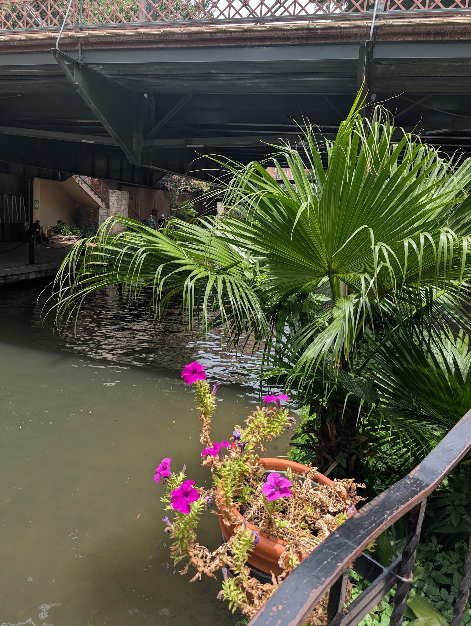 san antonio - mot phat hien bat ngo o texas: noi lich su, cong nghe va nhung buoi sang binh yen hoi tu - 7
