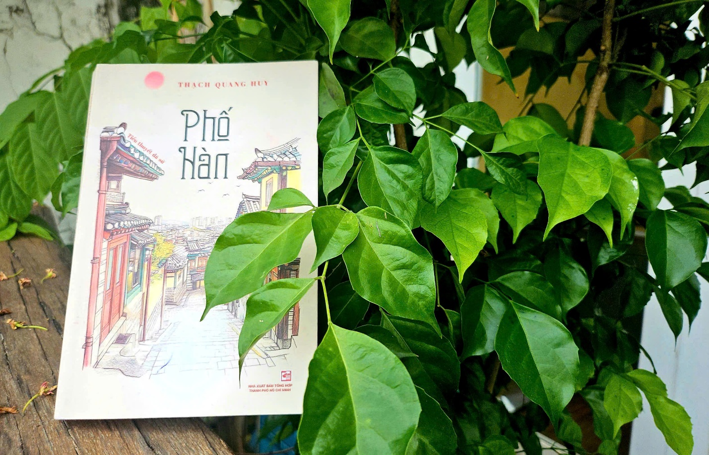 “Phố Hàn”: Lời nhắn đáng giá giữa biển tin thời công nghệ số - 1