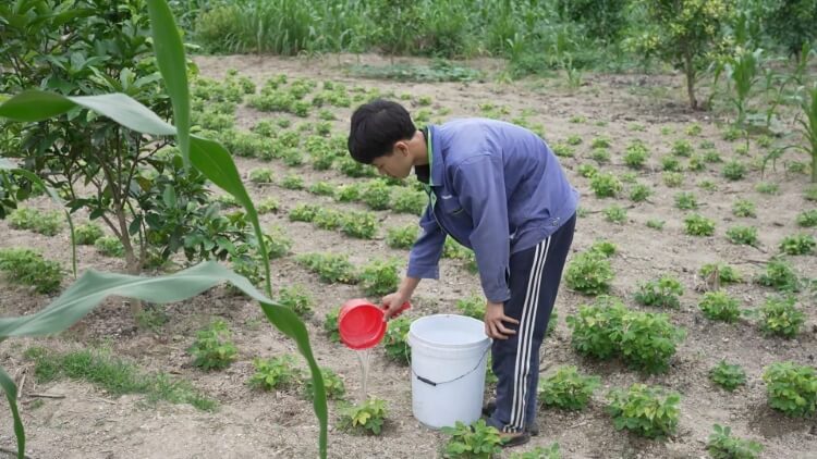 Hồng Phúc, Hoàng Tôn và Phương Oanh đau lòng cảnh người phụ nữ vừa phẫu thuật u cổ phải gồng gánh khi chồng qua đời - 10