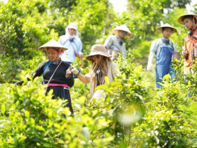  - ‘Vì một Việt Nam hạnh phúc’: Cộng đồng chung tay gieo 2,5 hecta rừng chỉ sau 16 giờ khởi động