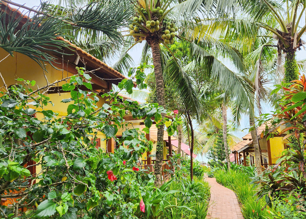View ngắm máy bay tuyệt vời tại Free Beach Resort Phú Quốc - 5