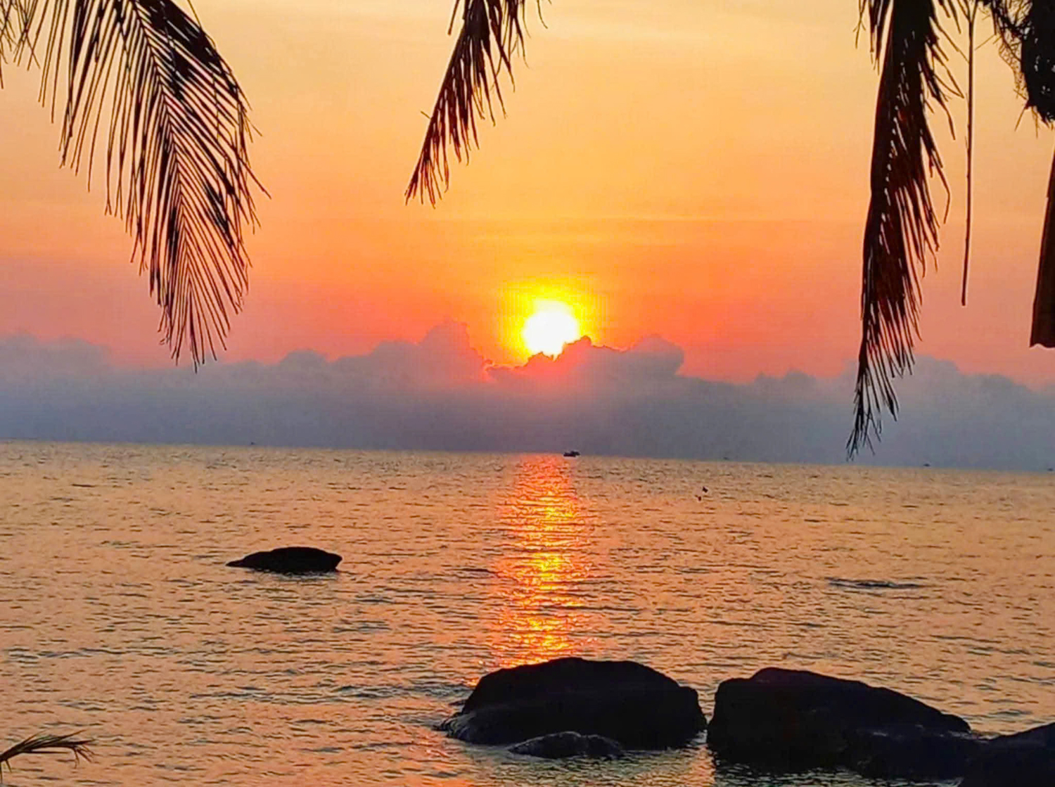 View ngắm máy bay tuyệt vời tại Free Beach Resort Phú Quốc - 12