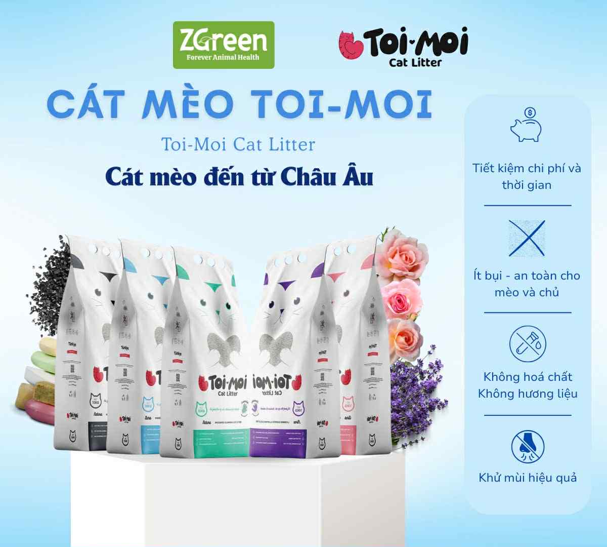 Bụi cát và sức khỏe thú cưng: Nguy cơ vô hình mà nhiều người nuôi mèo chưa nhận ra - 2