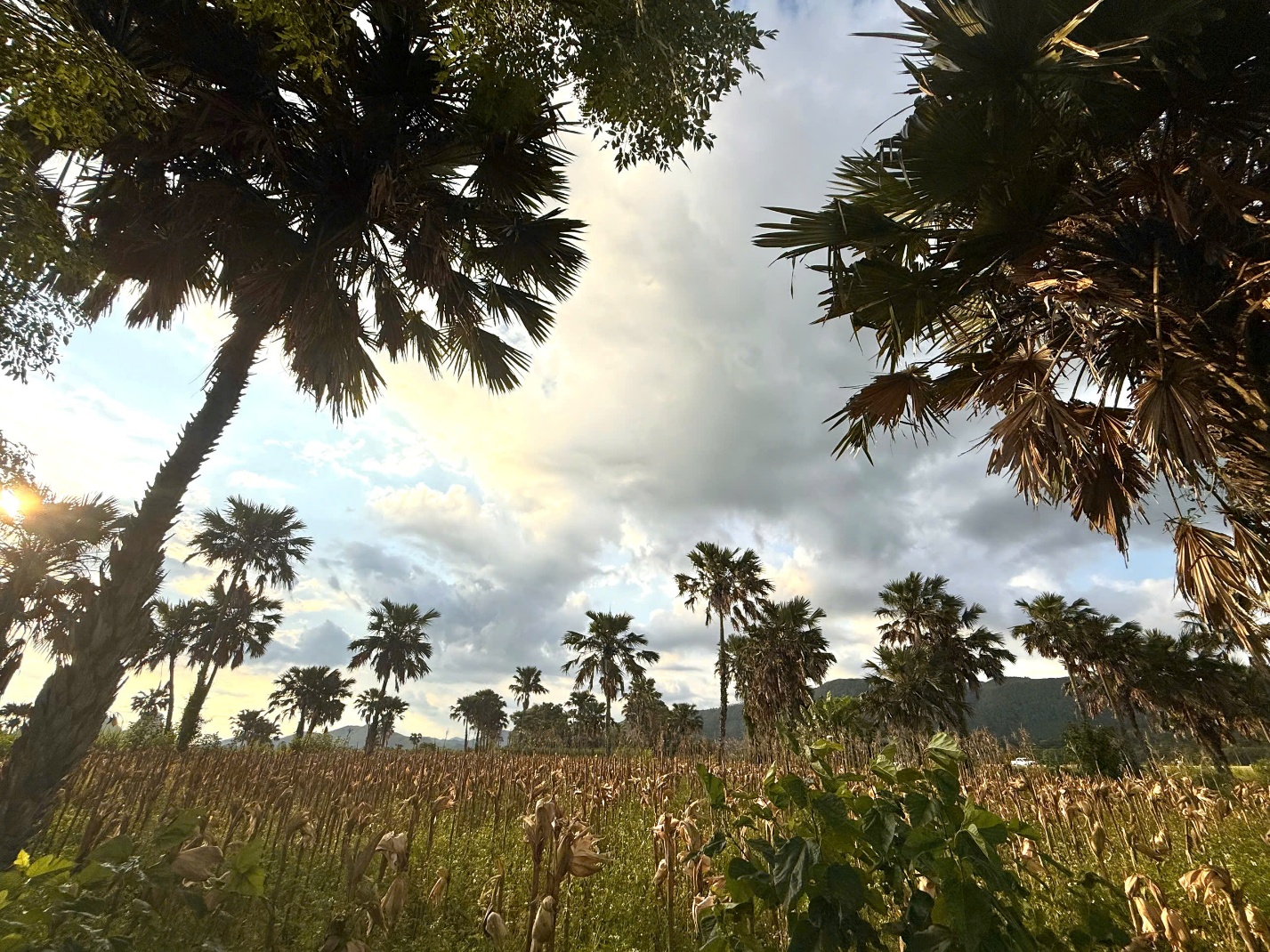 le son - lang que hoi tu tiem nang du lich giua long truong son - 5