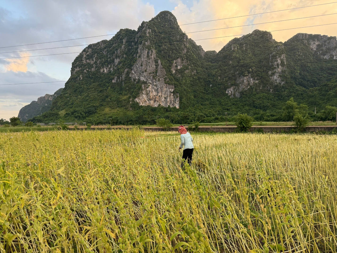 le son - lang que hoi tu tiem nang du lich giua long truong son - 7