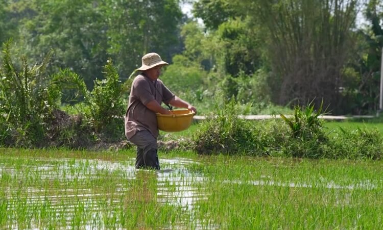Đại Nghĩa, Ma Ran Đô và Nguyễn Duyên Quỳnh nhói lòng trước cảnh em nhỏ vừa học vừa gồng gánh gia đình vì cha mẹ bệnh nặng - 8