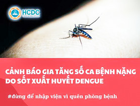  - Sốt xuất huyết tăng gấp 2,5 lần, TP.HCM siết chặt phòng dịch